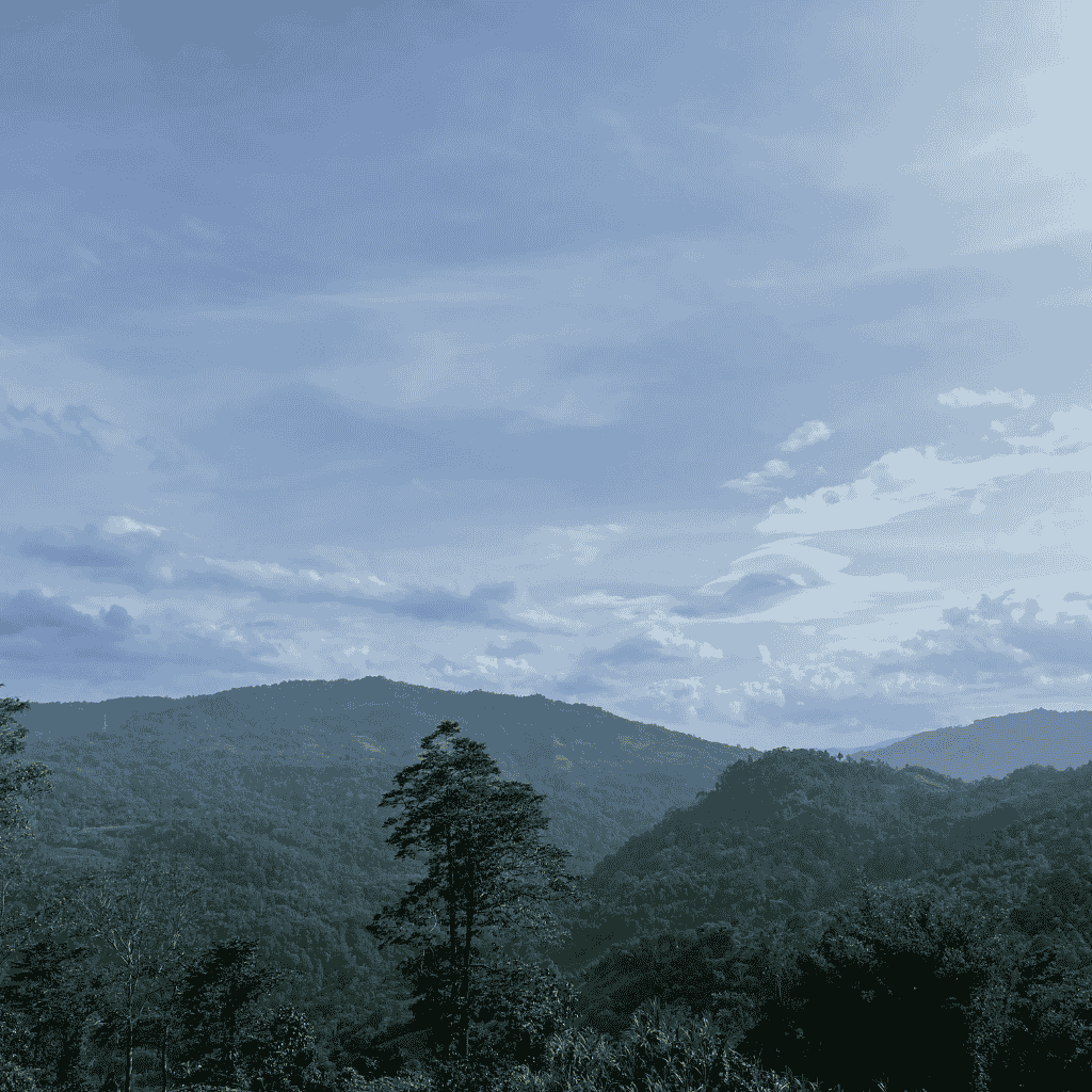 Scenic view of lush green mountains under a partly cloudy blue sky. Tall trees are visible in the foreground with layers of hills fading into the distance.