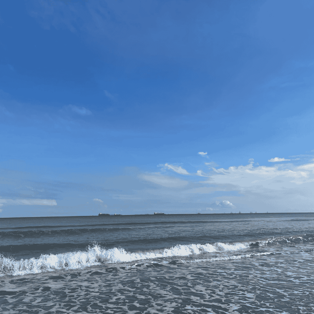 Zero sales online business season reflected through calm ocean waves, symbolizing patience, resilience, and rebuilding during a year with no income.