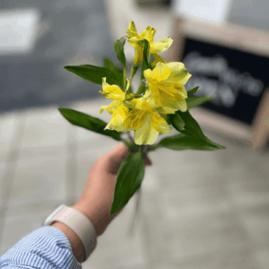 Hand holding yellow flowers, symbolizing reflection, gratitude, and quiet resilience in a Dear Elle letter