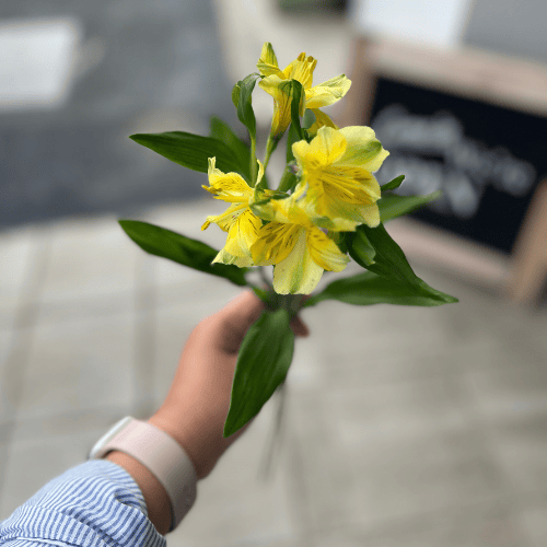 Hand holding yellow flowers, symbolizing reflection, gratitude, and quiet resilience in a Dear Elle letter